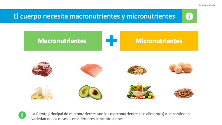 SUP01b Macro y Micro nutrientes