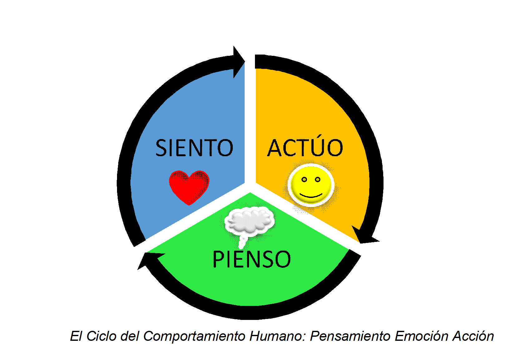 Foto Ciclo del Comportamiento Humano