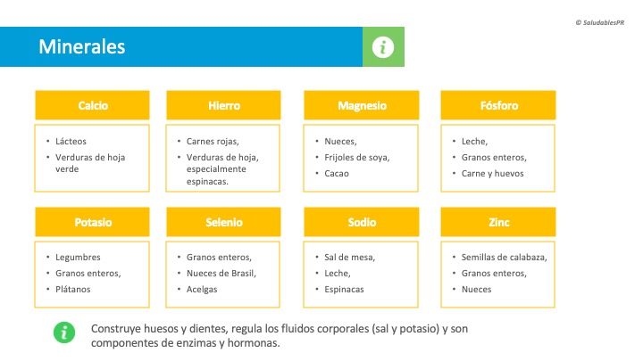 SUP02c Minerales