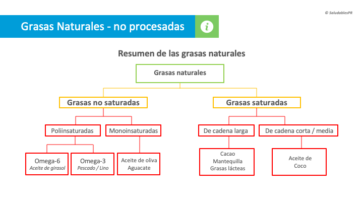 6NU25 Resumen grasas naturales 002