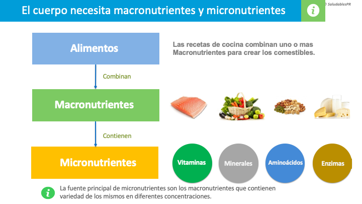 Alimentos macronutrientes y Micornutrientes