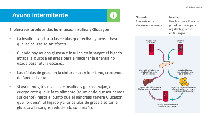 CS Ayuno Intermitente Pancreas