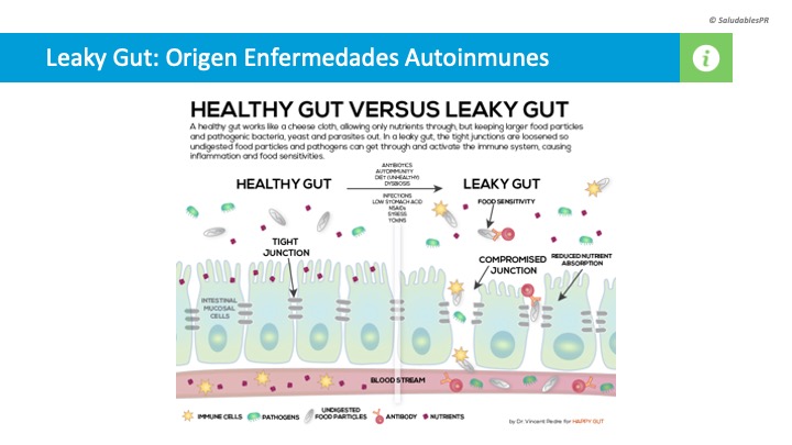 Leaky Gut