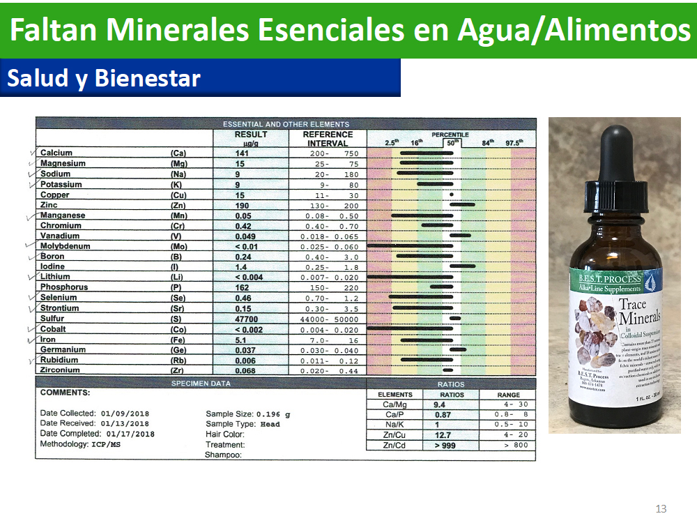 alimentosagua2